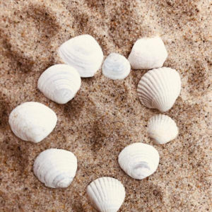 Willa Bruno Jastarnia